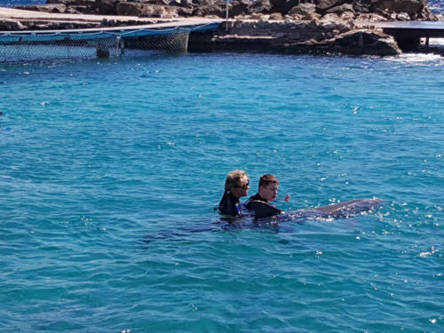 Curacao_20181210_112635